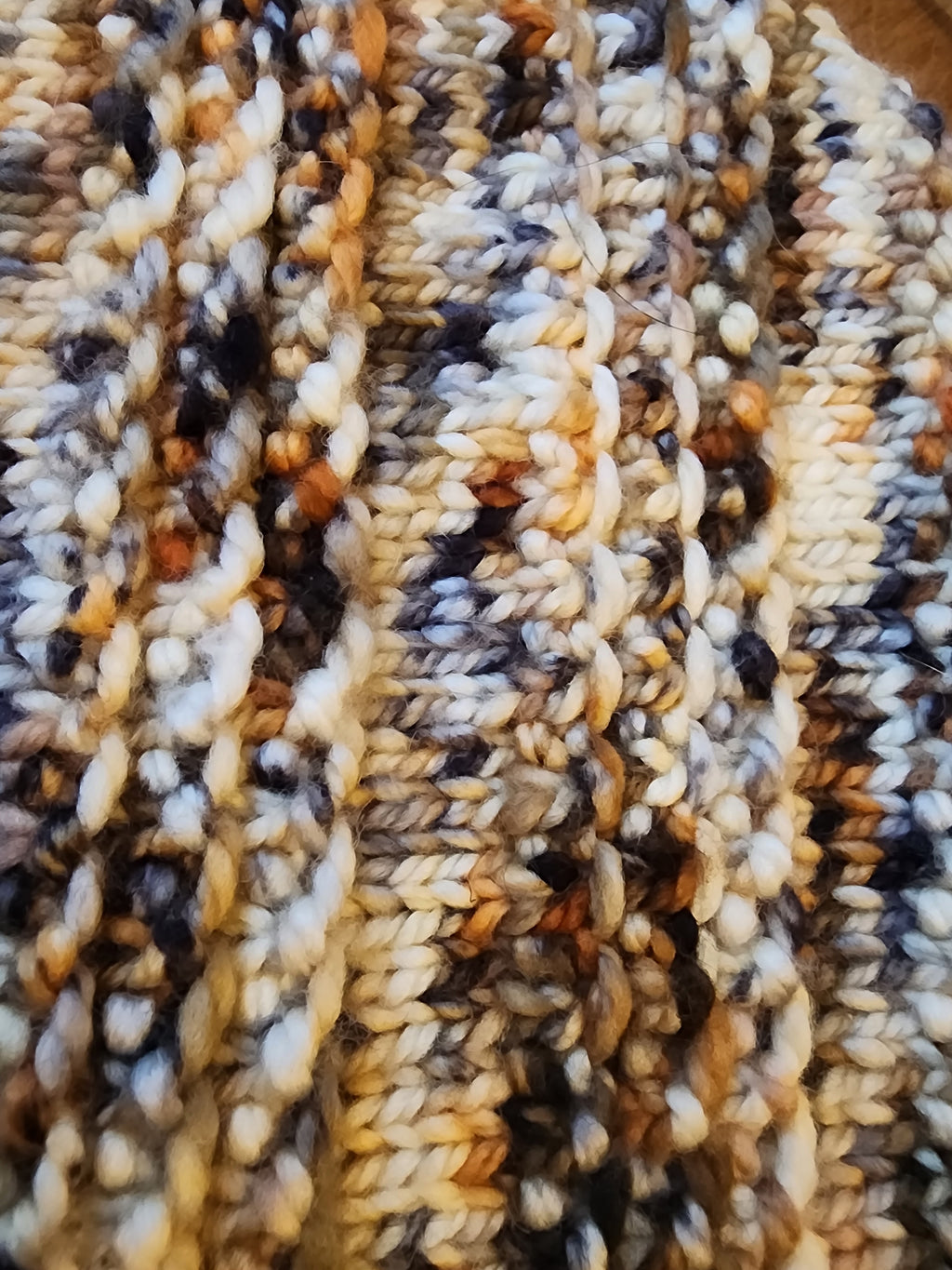 Harbor seal Cowl